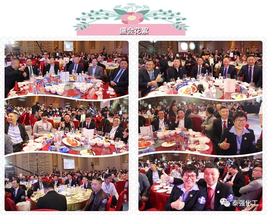 泰强化工受邀出席广东湘楚川家居商会联盟盛典暨2018迎春联欢晚会(图10)